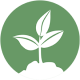 stewardship icon - a plant in soil
